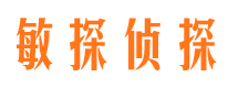 红花岗侦探公司